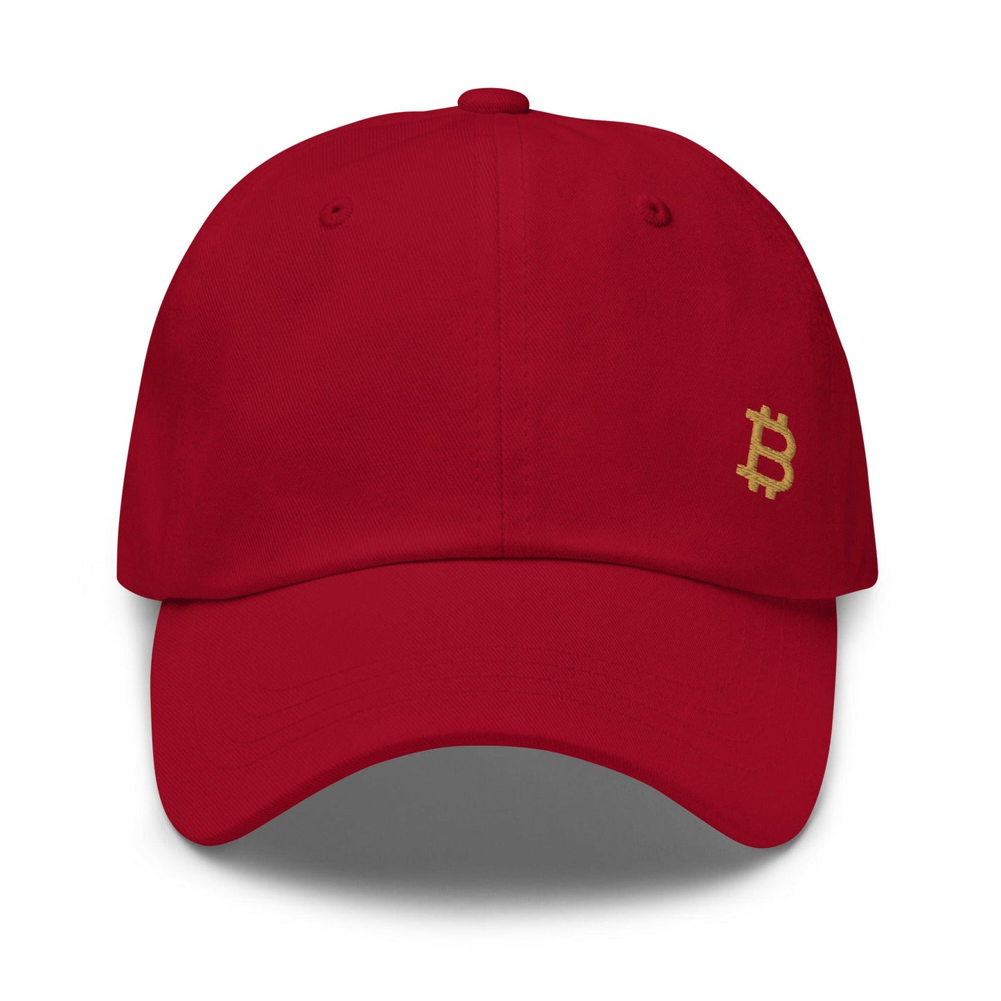 Branded / Bitcoin Dad Hat - SVRN_T Hats - The Orange Habit