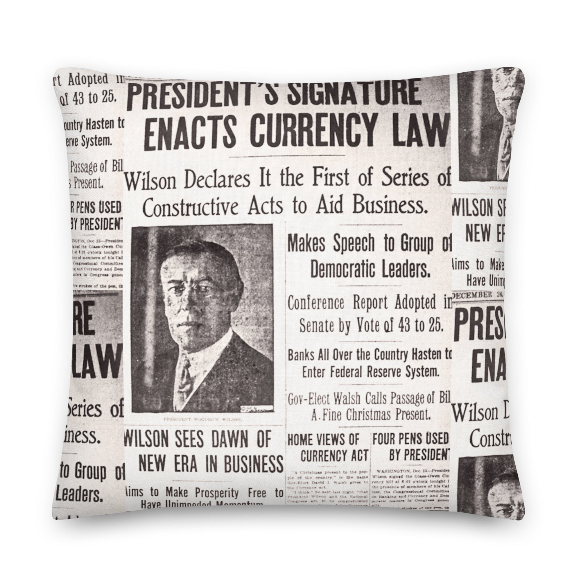 1913 Federal Reserve Act Pillow - SVRN Society