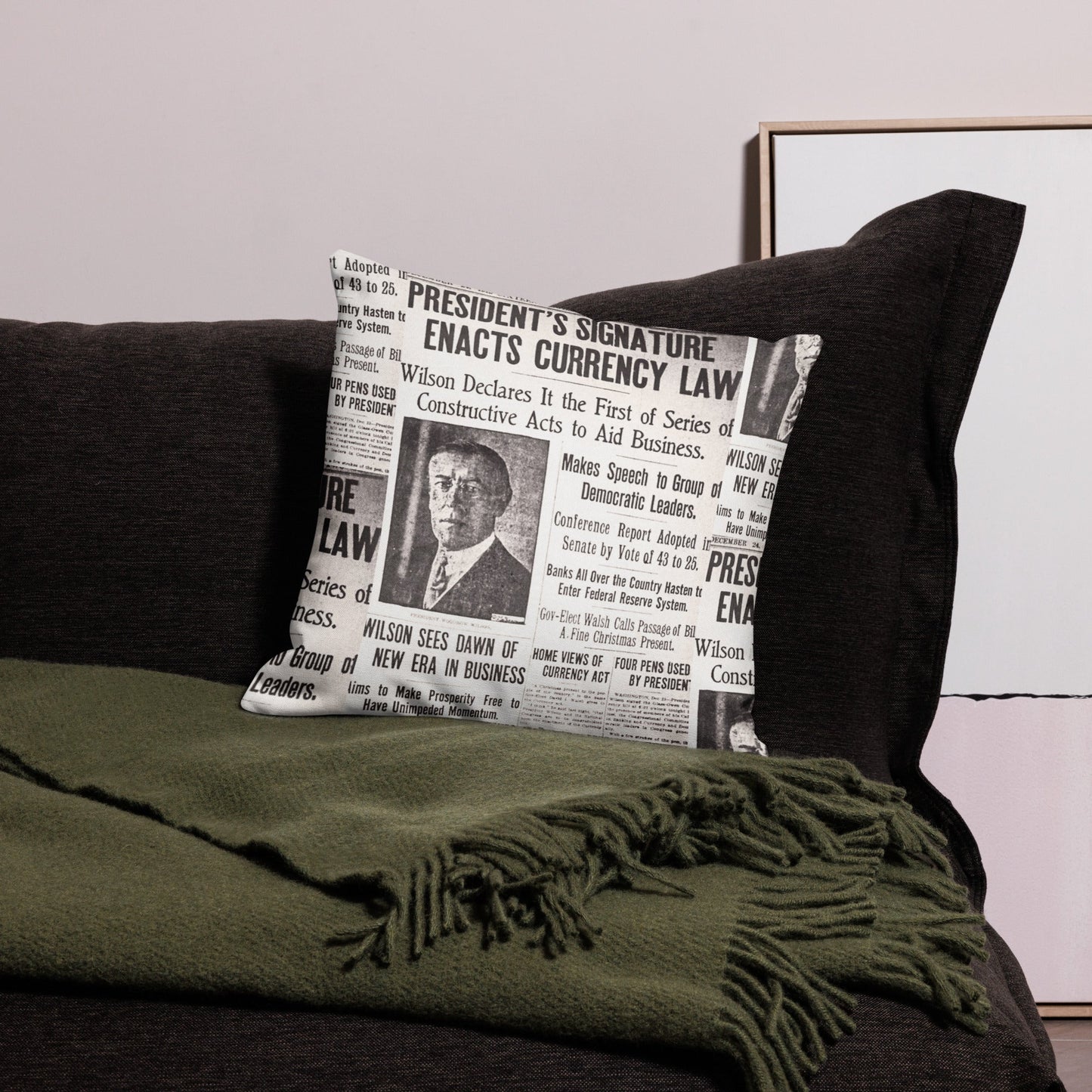 1913 Federal Reserve Act Pillow - SVRN Society