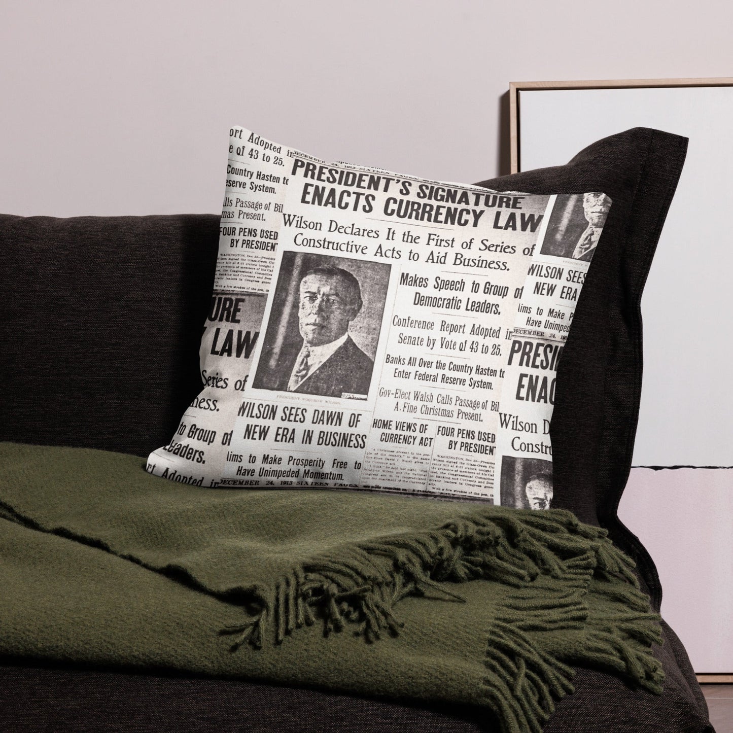 1913 Federal Reserve Act Pillow - SVRN Society