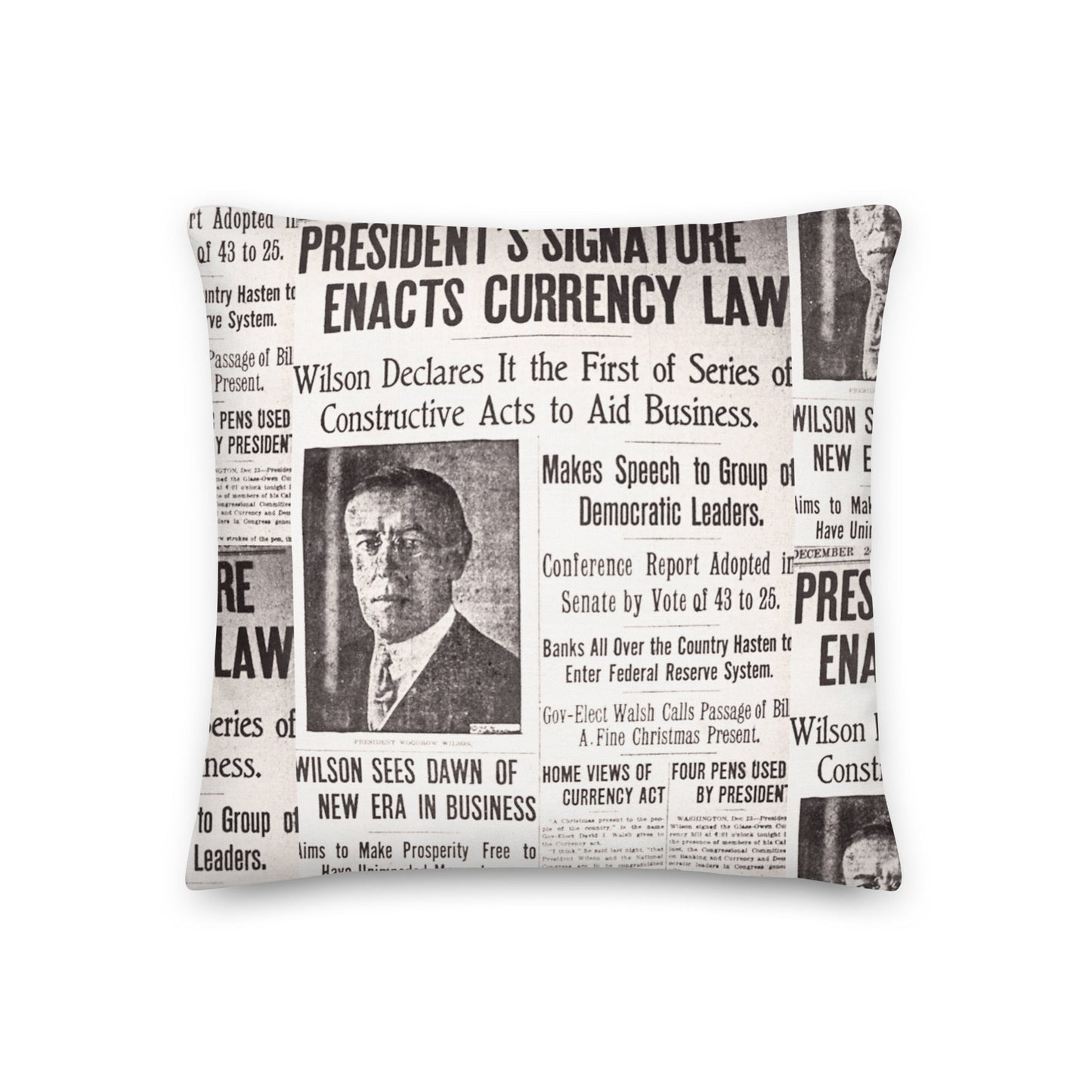 1913 Federal Reserve Act Pillow - SVRN Society