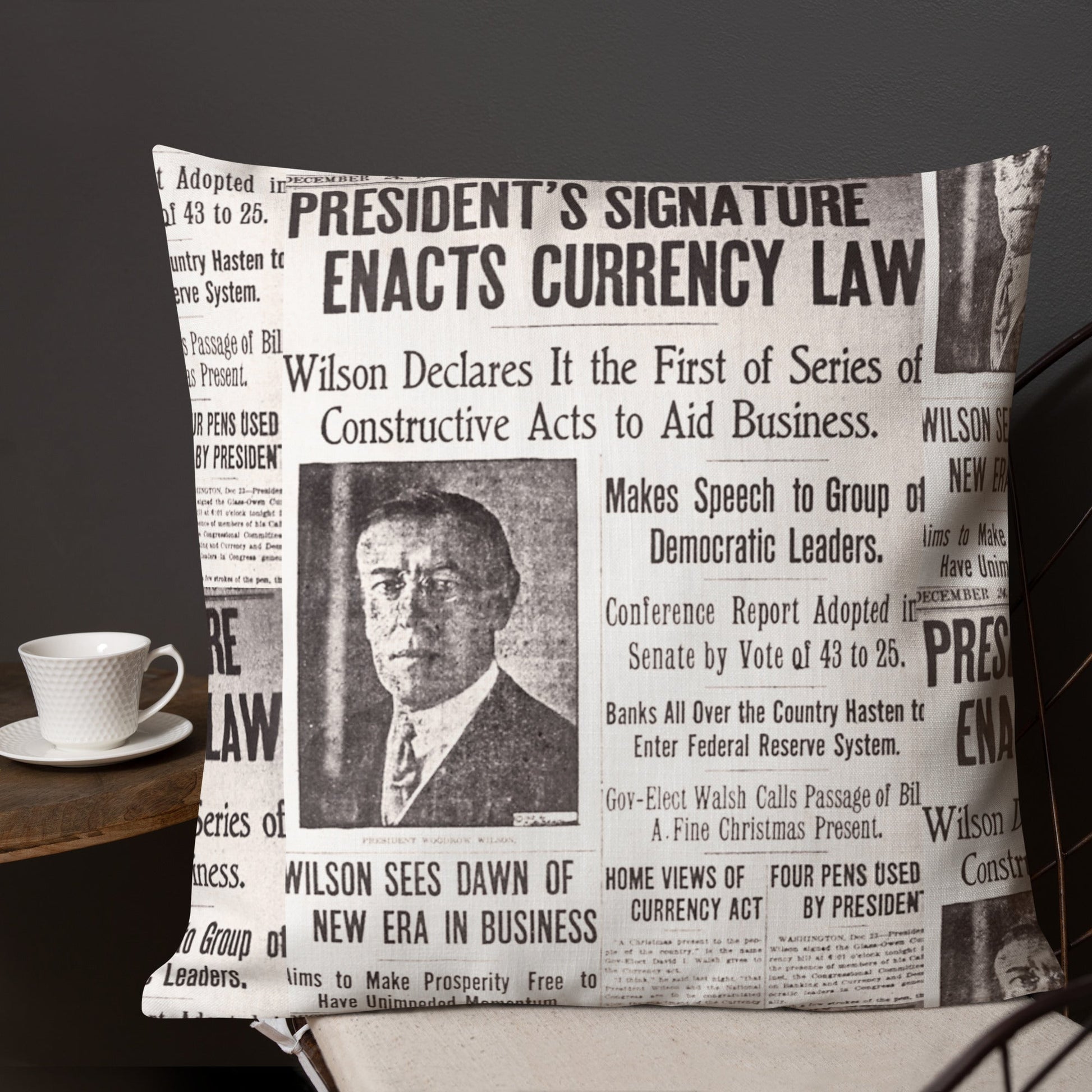 1913 Federal Reserve Act Pillow - SVRN Society