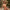 The B / Women's Bitcoin Bikini Set - Nikki Nakamoto - The Orange Habit