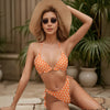 The B / Women's Bitcoin Bikini Set - Nikki Nakamoto - The Orange Habit