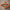 Bitcoin Paris / Scuba Tote  The Orange Habit | Bitcoin Clothing & Apparel.