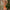 The B / Women's Bitcoin Bikini Set - Nikki Nakamoto - The Orange Habit