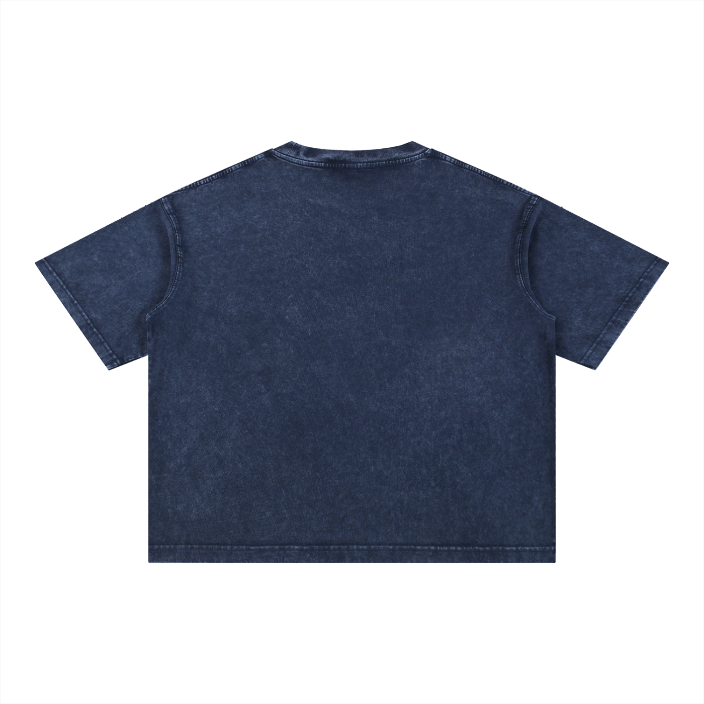 Captivated: Mineral Wash Boxy Cotton T-Shirt