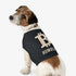 jack russell terrier wearing the B Humble Bitcoin clothes for dogs by Maison Toshi at The Orange Habit