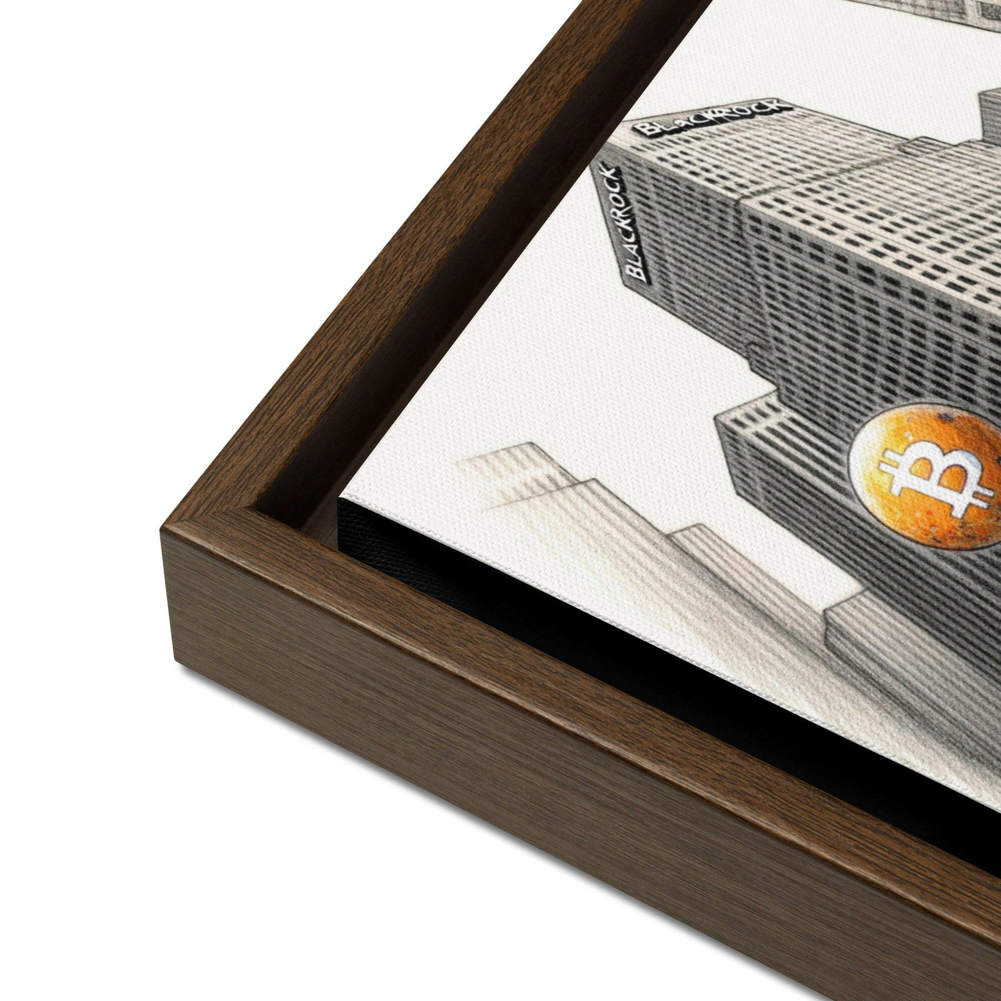 Bitcoin Art / The Unknown - Orange Habit Home - The Orange Habit