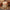 Bitcoin Candle / FLAME OF REGRET - Orange Habit Home - The Orange Habit