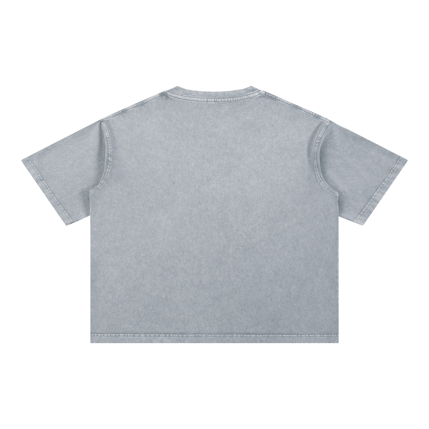Captivated: Mineral Wash Boxy Cotton T-Shirt