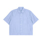 Bitcoin Americana: Striped Boxy Shirt