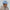 Bitcoin Whale / Kids Bitcoin Hat - Lil'B Hats - The Orange Habit