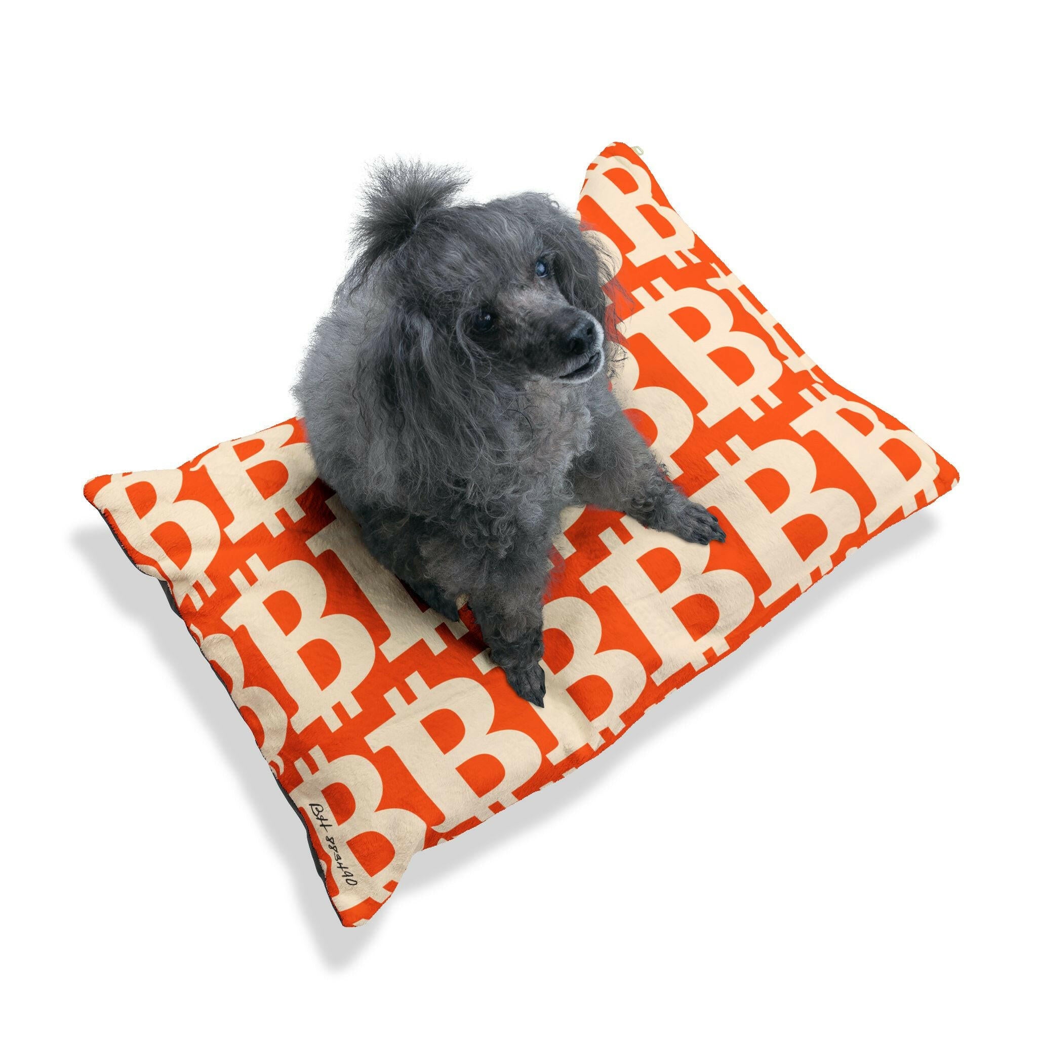 Bitcoin Pet Bed / The B - Maison Toshi - The Orange Habit