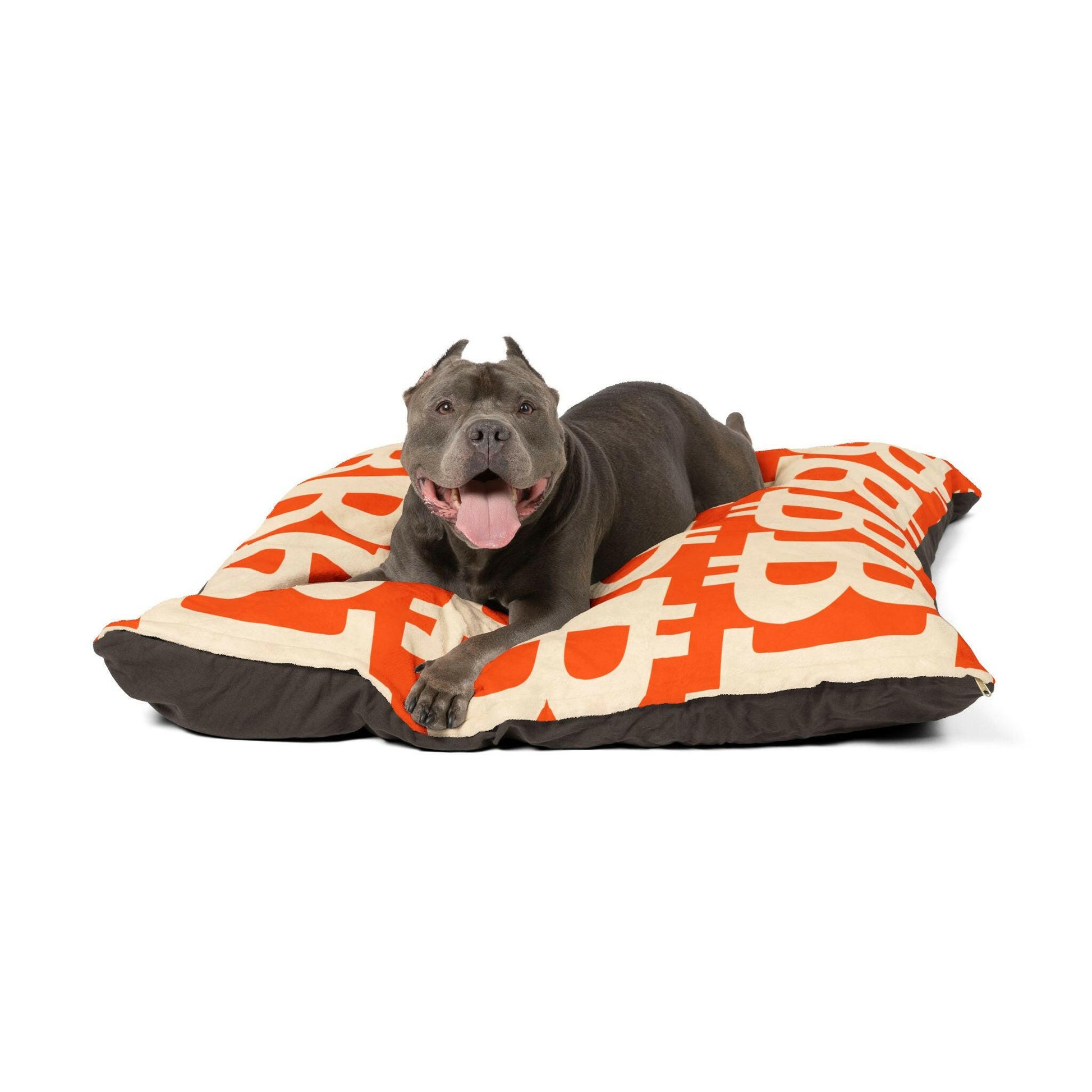 Bitcoin Pet Bed / The B - Maison Toshi - The Orange Habit