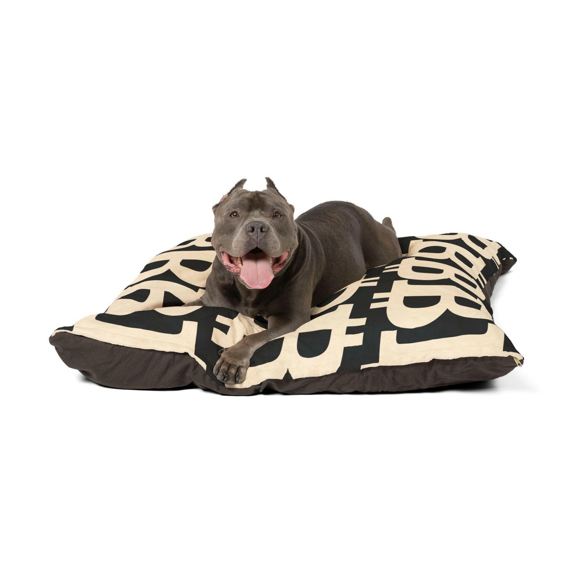 Bitcoin Pet Bed / The B Black Edition - Maison Toshi - The Orange Habit