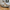 Bitcoin Pet Bed / The B Black Edition - Maison Toshi - The Orange Habit