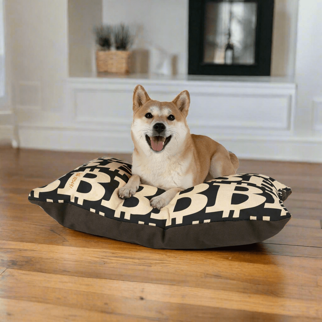 Bitcoin Pet Bed / The B Black Edition - Maison Toshi - The Orange Habit