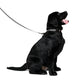 I Heart Satoshi / Bitcoin Dog Collar - Maison Toshi - The Orange Habit