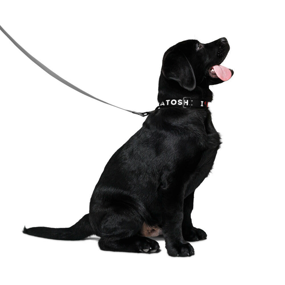 I Heart Satoshi / Bitcoin Dog Collar - Maison Toshi - The Orange Habit