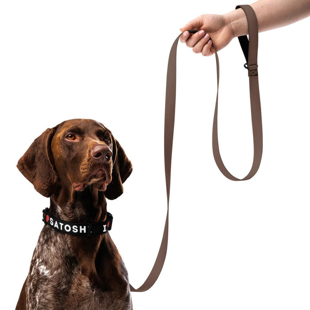 I Heart Satoshi / Bitcoin Dog Collar - Maison Toshi - The Orange Habit
