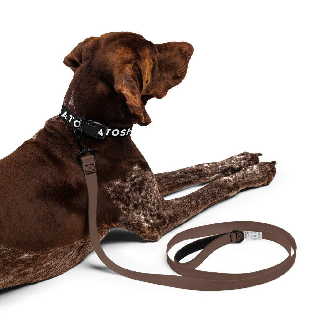 I Heart Satoshi / Bitcoin Dog Collar - Maison Toshi - The Orange Habit