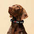 I Heart Satoshi / Bitcoin Dog Collar - Maison Toshi - The Orange Habit