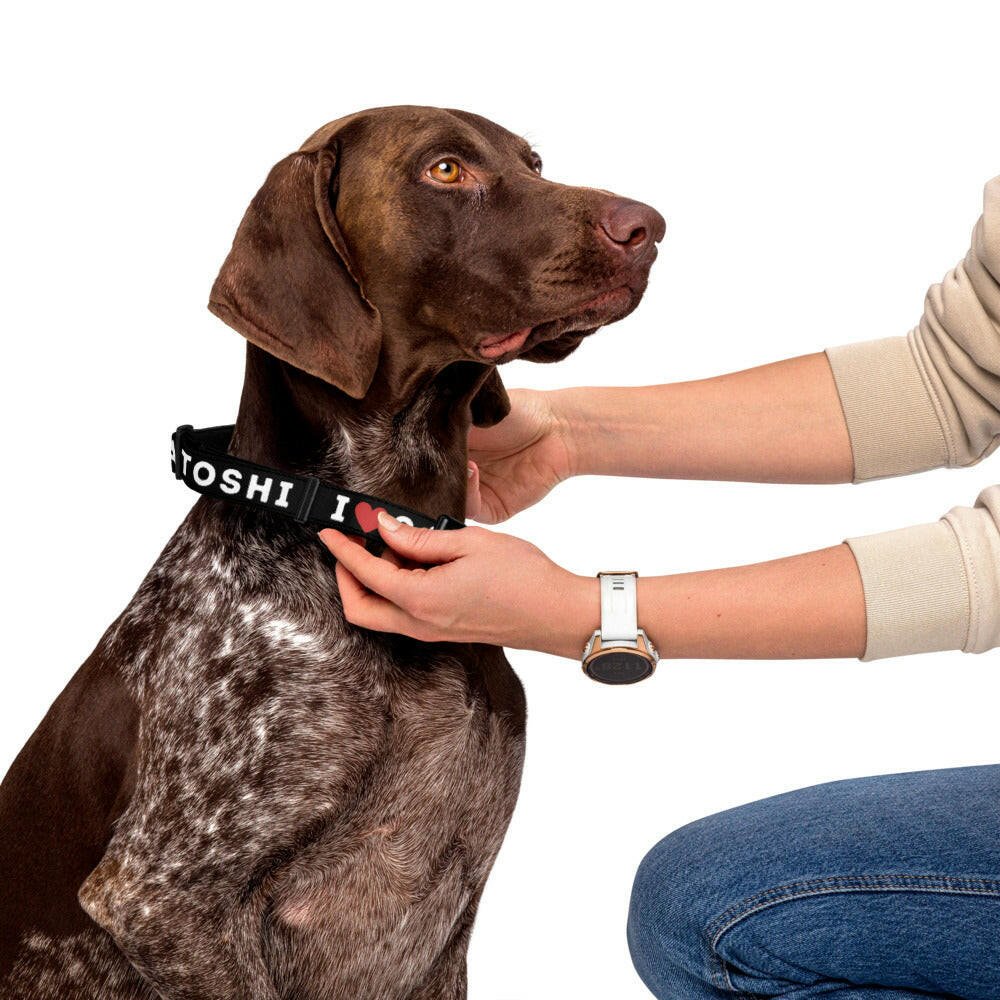 I Heart Satoshi / Bitcoin Dog Collar - Maison Toshi - The Orange Habit
