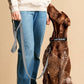 I Heart Satoshi / Bitcoin Dog Collar - Maison Toshi - The Orange Habit