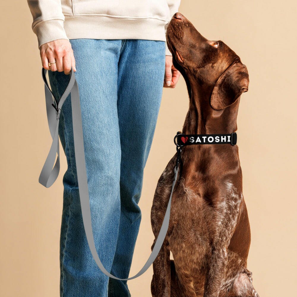 I Heart Satoshi / Bitcoin Dog Collar - Maison Toshi - The Orange Habit