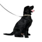 Bitcoin Pet Collar / The B - Maison Toshi - The Orange Habit