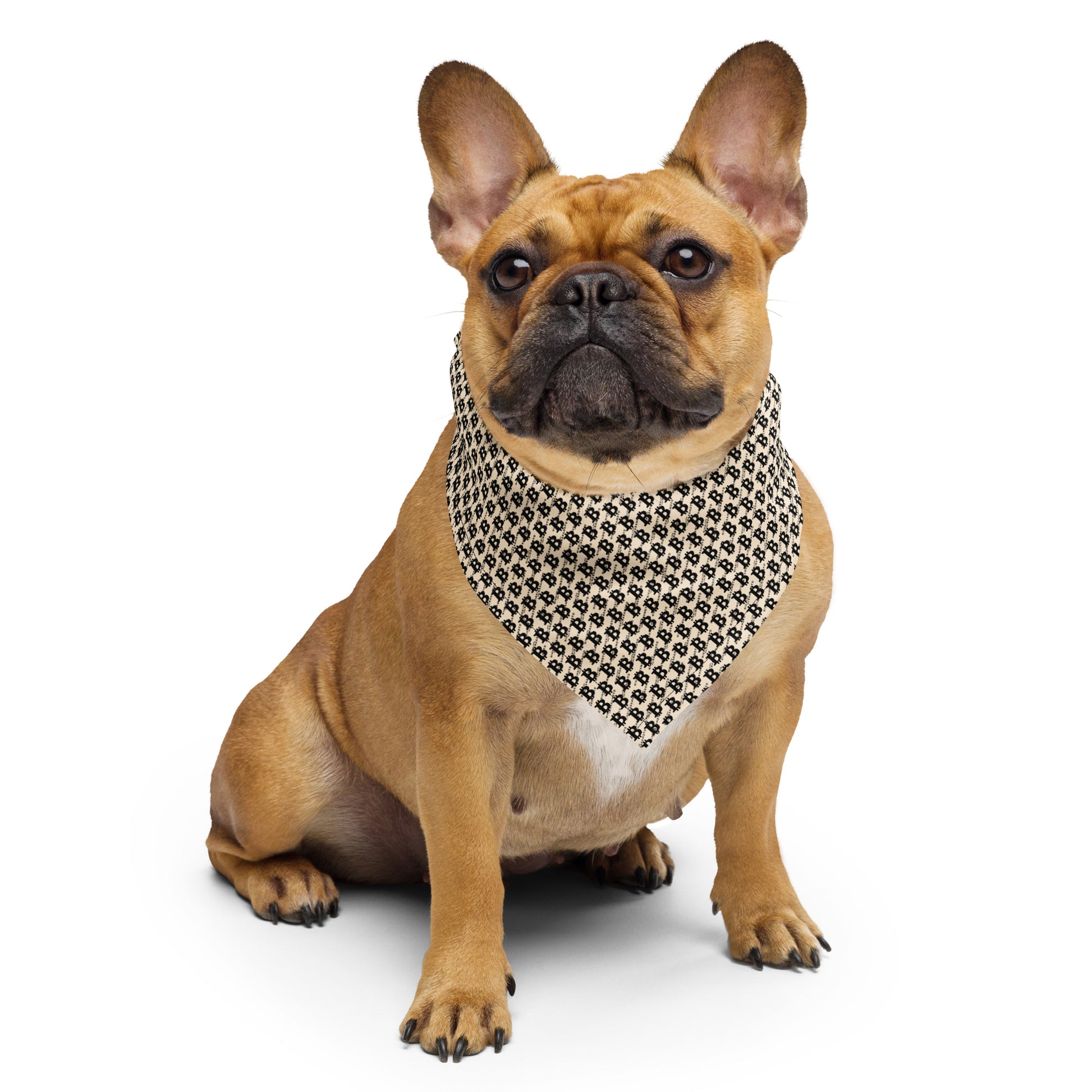 THE B / Bitcoin Bandana - Nikki Nakamoto - The Orange Habit