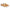 Soft Revolution / Orange Bitcoin Shoes - Nikki Nakamoto - The Orange Habit