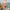 BITCOIN PARIS / Bitcoin Bikini - Nikki Nakamoto - The Orange Habit
