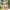 ALOHA SATOSHI / Bitcoin Bikini - Nikki Nakamoto - The Orange Habit