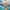 ALOHA SATOSHI / Bitcoin Bikini - Nikki Nakamoto - The Orange Habit