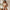 SOFT REVOLUTION / High-Waisted Bitcoin Bikini - Nikki Nakamoto - The Orange Habit