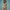 Soft Revolution / One-Piece Bitcoin Swimsuit - Nikki Nakamoto - The Orange Habit