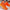 Women's Orange Mesh Athletic Shoes - Orange Habit Boutique - The Orange Habit