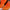 Women's Orange Mesh Athletic Shoes - Orange Habit Boutique - The Orange Habit