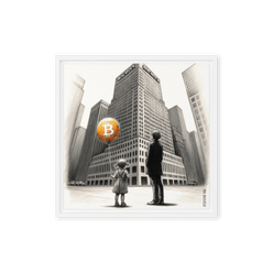 Bitcoin Art / The Unknown - Orange Habit Home - The Orange Habit