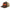 HFSP / Bitcoin Trucker Cap - SVRN_T Hats - The Orange Habit