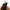 Bitcoin Paris / Under Armour® Bitcoin Dad Hat - SVRN_T Hats - The Orange Habit