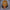 NAKAMOTO / Bitcoin Trucker Cap - SVRN_T Hats - The Orange Habit
