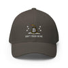 Don't Tread On Me / Fitted Bitcoin Hat - SVRN_T Hats - The Orange Habit