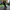 SATOSHI XCX / Men's Bitcoin Joggers - SVRN_T - The Orange Habit