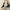 The B / Black & Cream Bitcoin Socks - SVRN_T - The Orange Habit