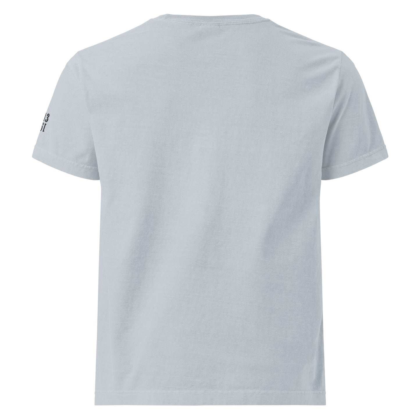 1913 / Oversized Bitcoin T-Shirt - SVRN_T - The Orange Habit
