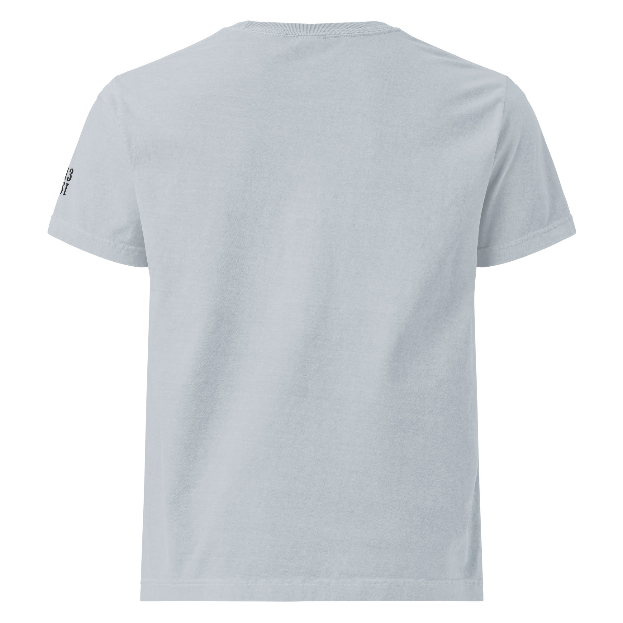 1913 / Oversized Bitcoin T-Shirt - SVRN_T - The Orange Habit