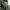 SATOSHI XCX / Athletic Long Shorts - SVRN_T - The Orange Habit